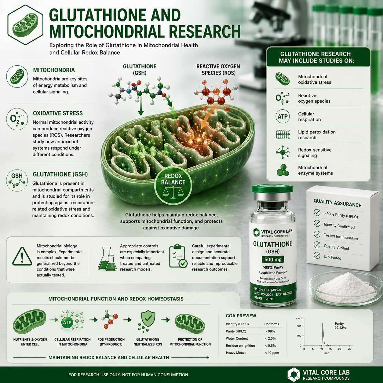 Glutathione GSH mitochondrial research oxidative stress and redox signaling illustration