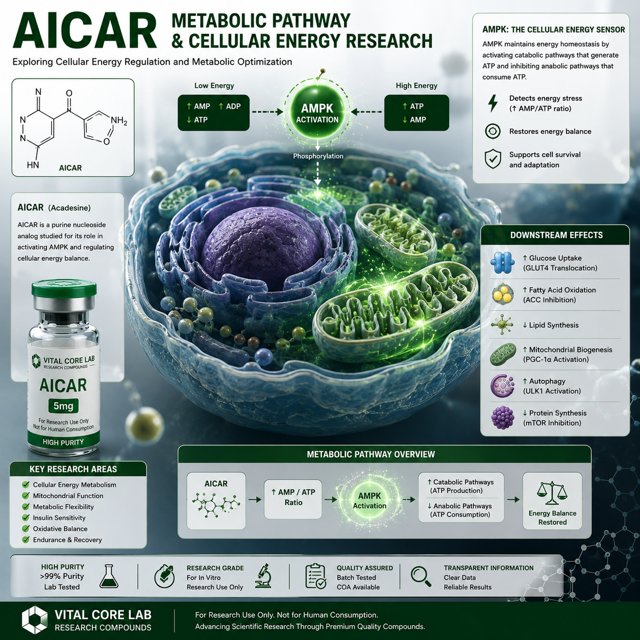 AICAR metabolic pathway and cellular energy research illustration