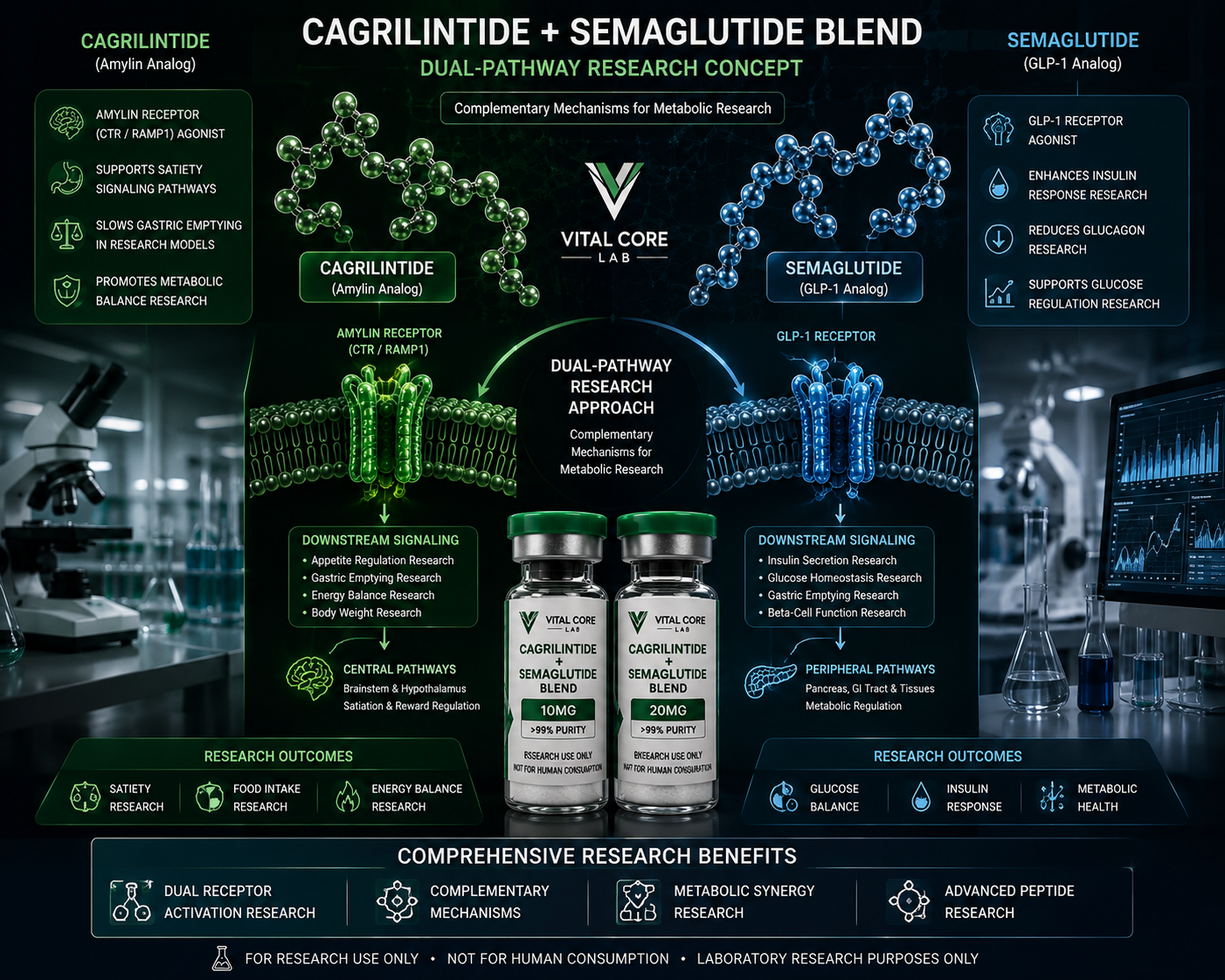Cagrilintide and Semaglutide Blend dual pathway peptide research illustration