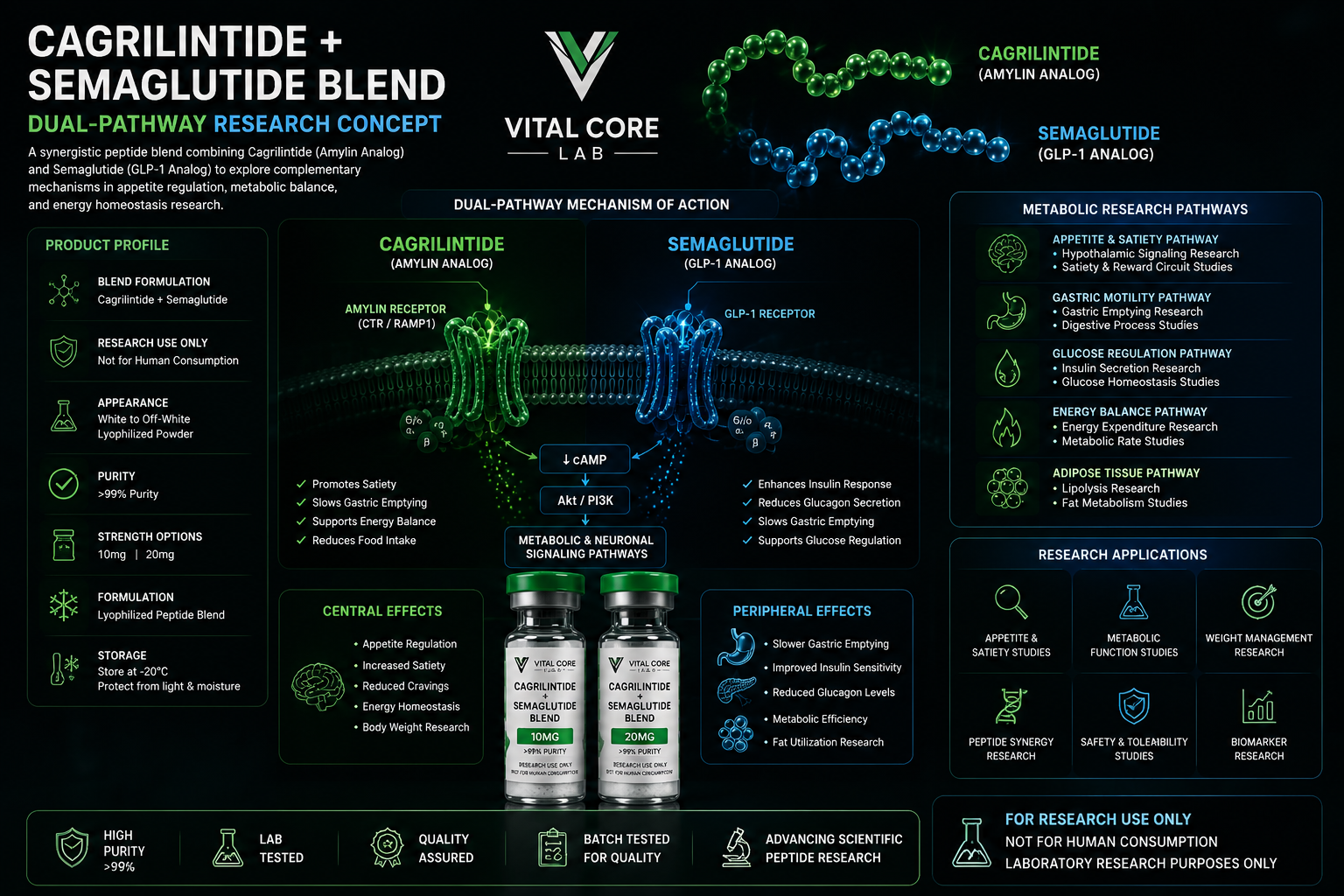 Cagrilintide and Semaglutide Blend dual pathway peptide research mechanism illustration