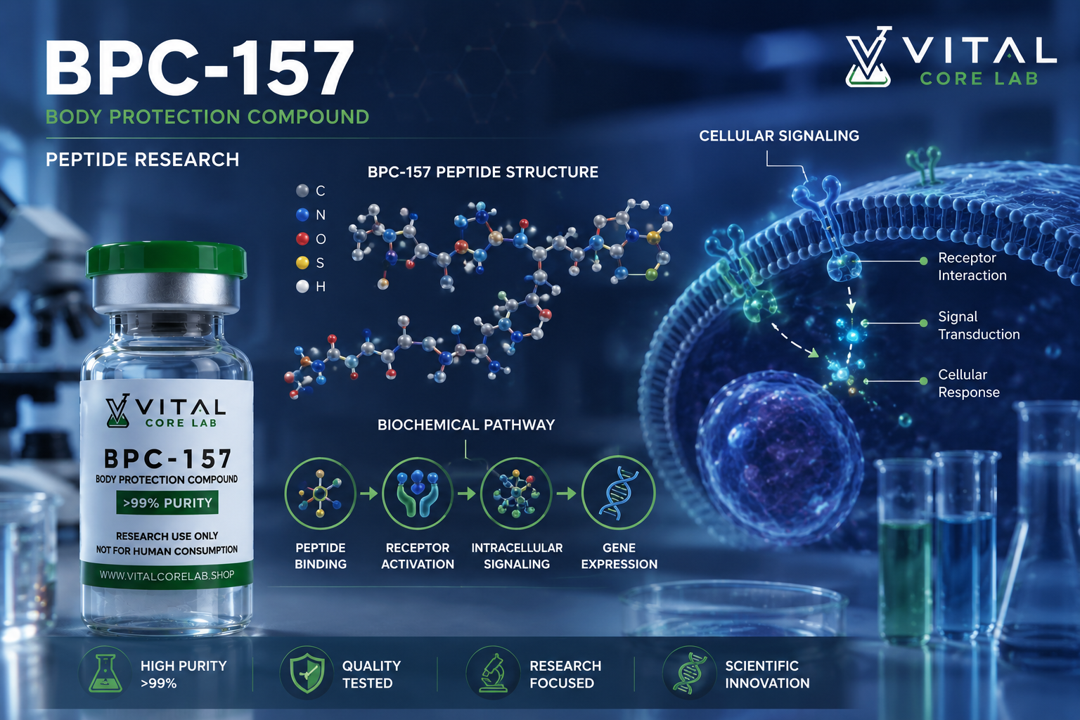 BPC-157 molecular and biochemical peptide research illustration