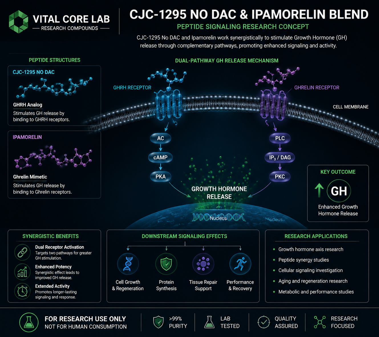 CJC-1295 No DAC and Ipamorelin Blend peptide signaling and receptor research illustration