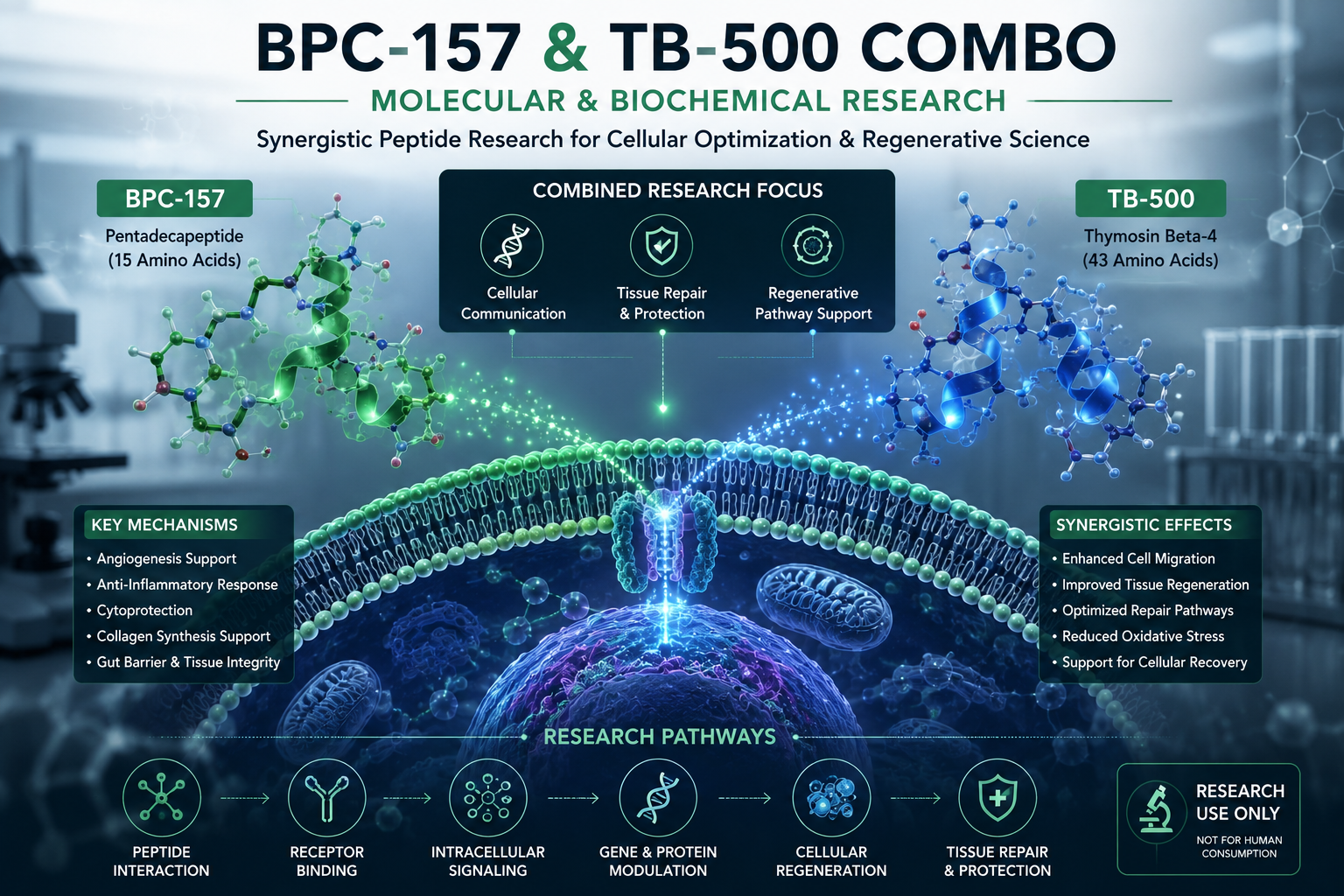BPC-157 and TB-500 combo molecular and biochemical research illustration with peptide structures, cellular signaling pathways, and laboratory imagery