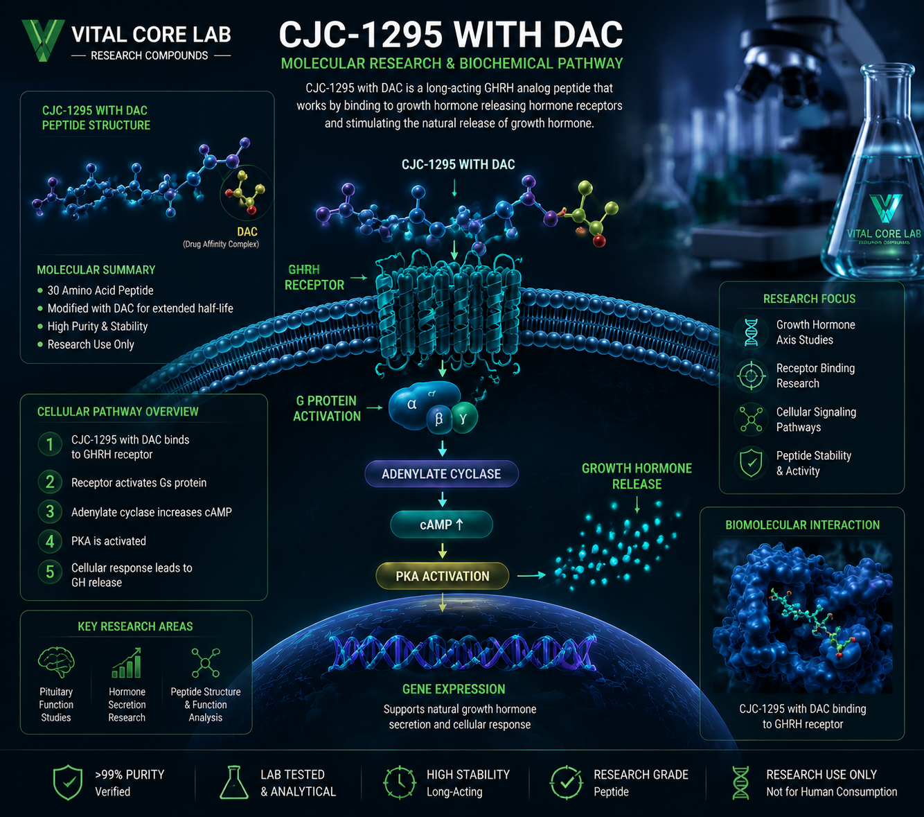 CJC-1295 with DAC molecular peptide research and biochemical pathway illustration