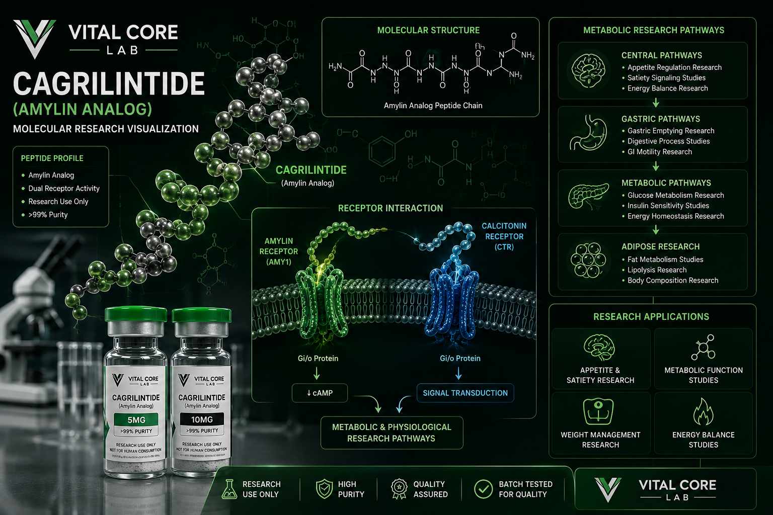 Cagrilintide molecular and biochemical amylin analog research illustration