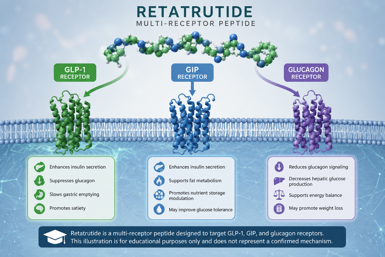 Retatrutide educational illustration showing GLP-1, GIP, and glucagon receptor pathways